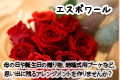 �G�X�|���[��